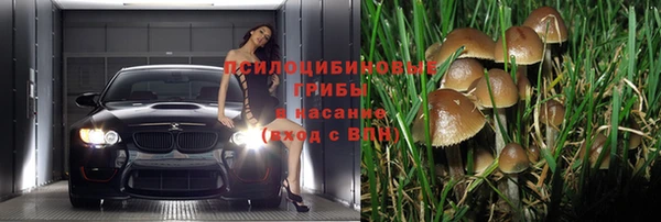ALPHA-PVP Осинники