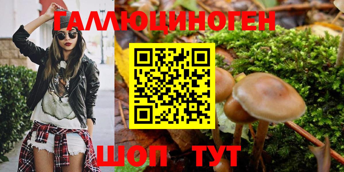 Алексеевка  Псилоцибиновые грибы Magic Shrooms  Вход с VPN 